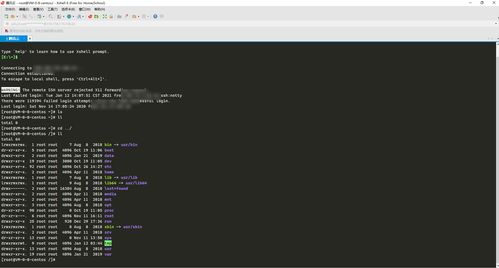 大學四年，我電腦上那些不可或缺的開發軟件